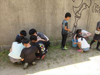 IMG_2052_R.JPG