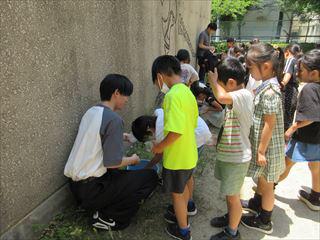 IMG_2062_R.JPG