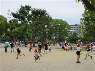 IMG_2185_R.JPG
