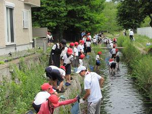 IMG_2197.JPG