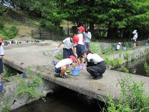 IMG_2200_R.JPG