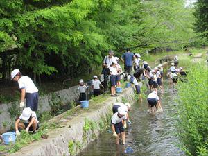 IMG_2201_R.JPG