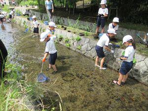 IMG_2203_R.JPG