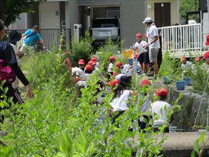 IMG_2205_R.JPG