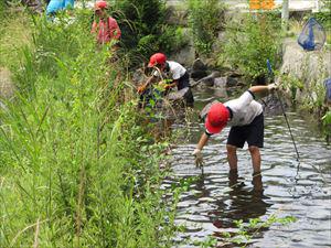 IMG_2206_R.JPG