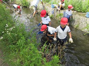 IMG_2208_R.JPG