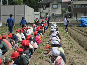 IMG_2235_R.JPG