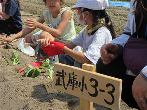 IMG_2242_R.JPG