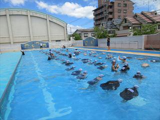 IMG_2430_R.JPG