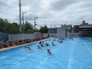 IMG_2431_R.JPG