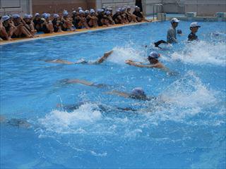 IMG_2441_R.JPG