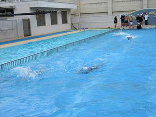 IMG_2447_R.JPG