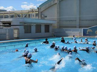 IMG_2484_R.JPG