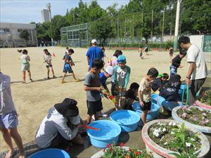 IMG_2640_R.JPG