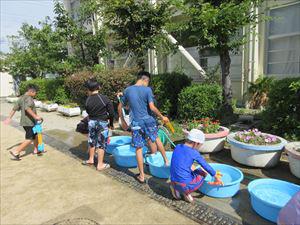 IMG_2646_R.JPG