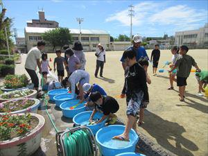 IMG_2654_R.JPG