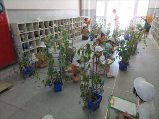 IMG_2704_R.JPG