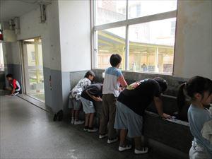 IMG_2831_R.JPG