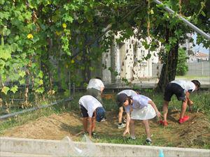 IMG_2838_R.JPG