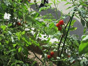 IMG_2849.JPG