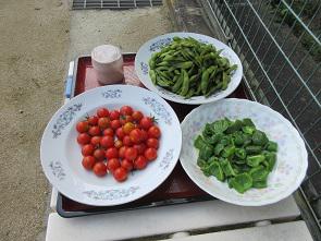 IMG_2872.JPG