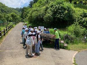 IMG_4387_R.jpg