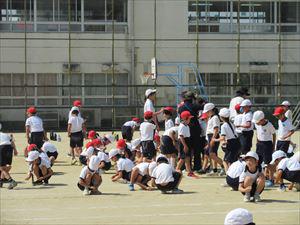 IMG_6466_R.JPG