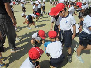 IMG_6470_R.JPG