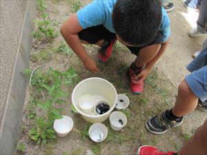 IMG_6534_R.JPG