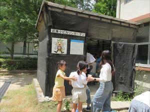 IMG_6537_R.JPG