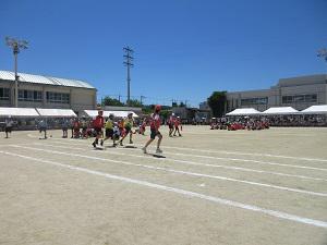 IMG_6811.JPG
