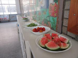 IMG_7483_R.JPG