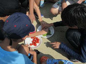 IMG_7485_R.JPG