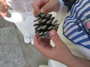 IMG_7954.JPG