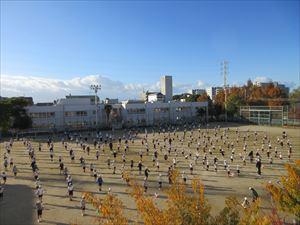 IMG_8549_R.JPG