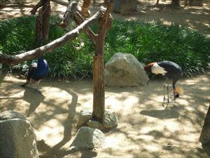 P1070586_R.JPG