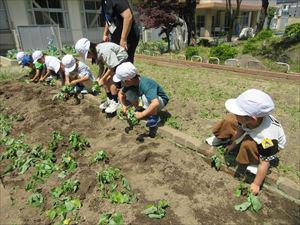 IMG_1885_R.JPG