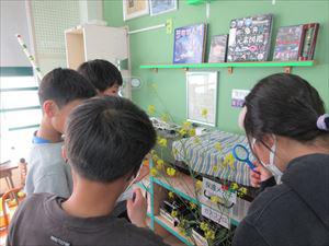 IMG_0778_R.JPG