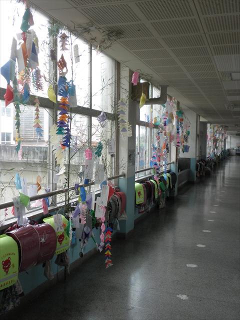 P7060045.JPG