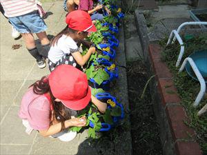 IMG_1883_R.JPG