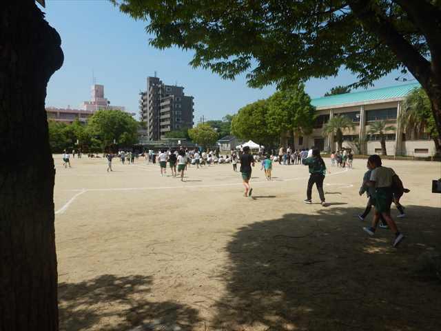 DSCN7866_R.JPG