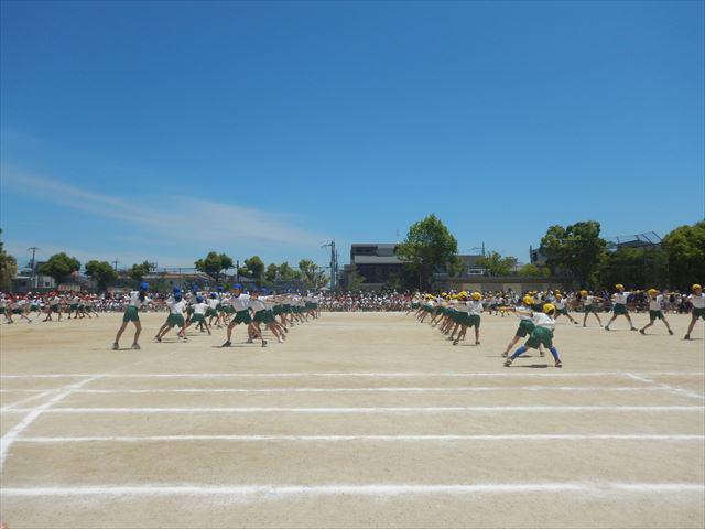 DSCN7986_R.JPG