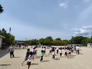 260512094245824_R.JPG