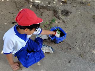 260515112038831_R.JPG