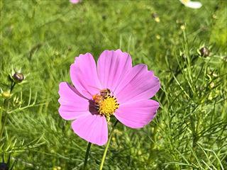 IMG-0398_R.jpg