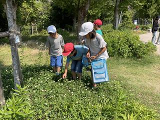 IMG_1605_R.JPG