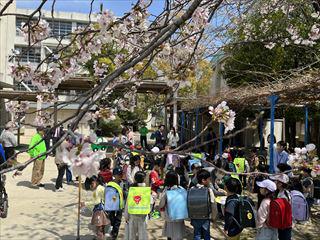 IMG_3941_R.JPG
