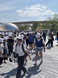 IMG_4194_R.JPG