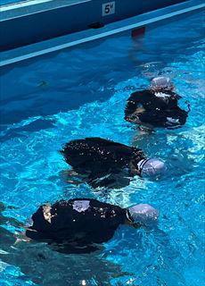 IMG_4346_R.JPG