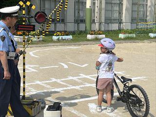 IMG_4556_R.JPG